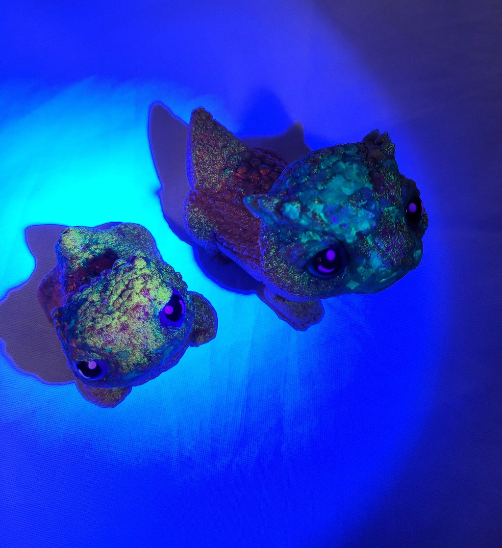 Glowing Boopie and Munchie - Boop Snoots