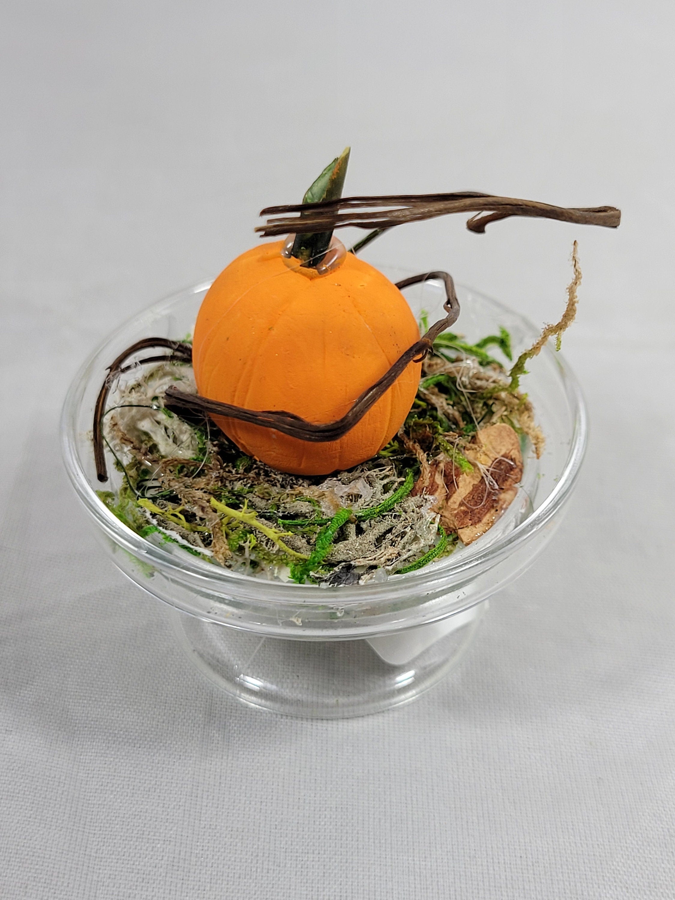 Pumpkin Cloche