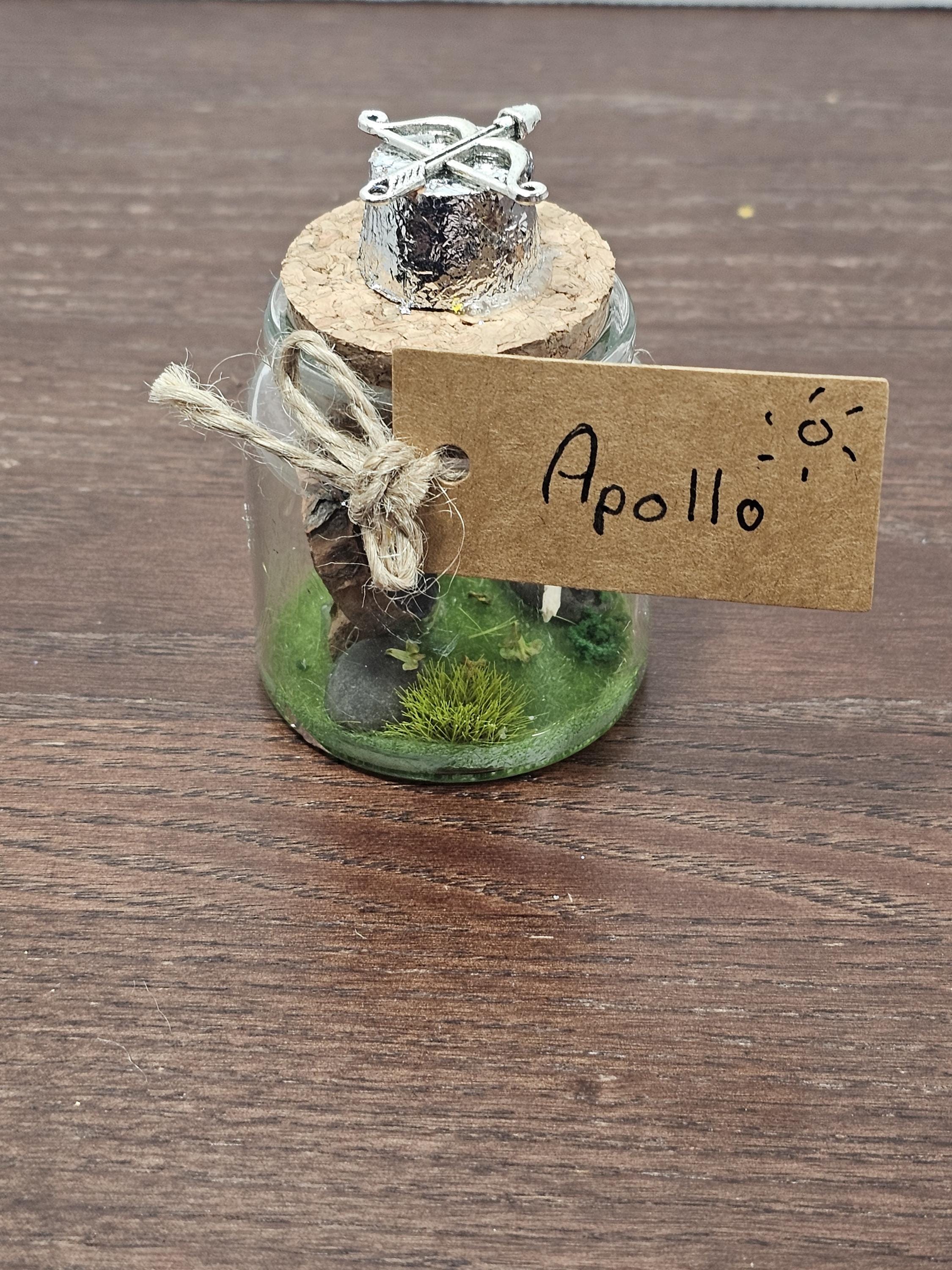 Apollo Terrarium