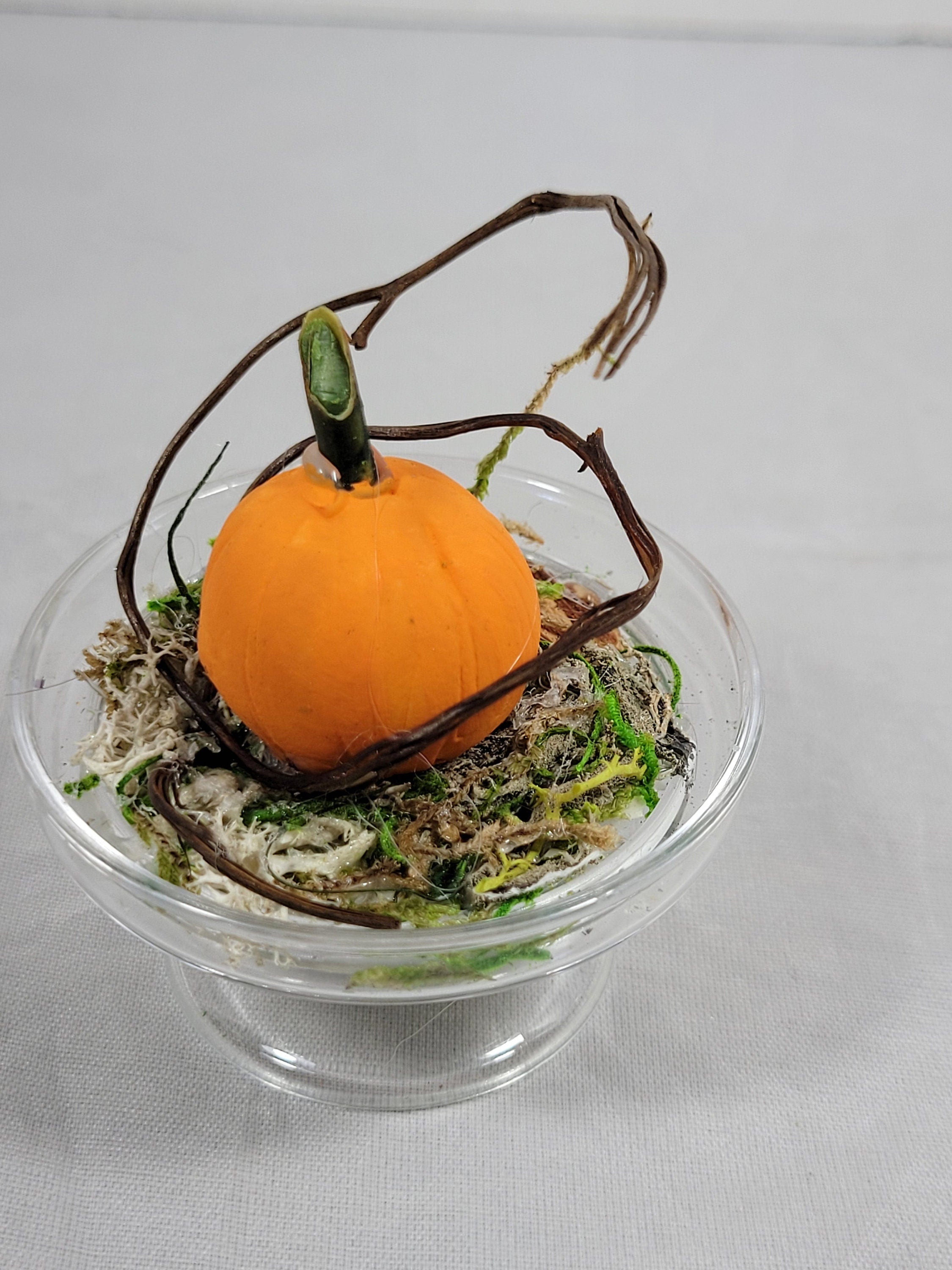 Pumpkin Cloche