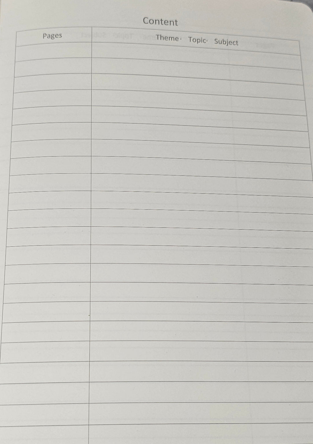 Dragon Faerie Journal
