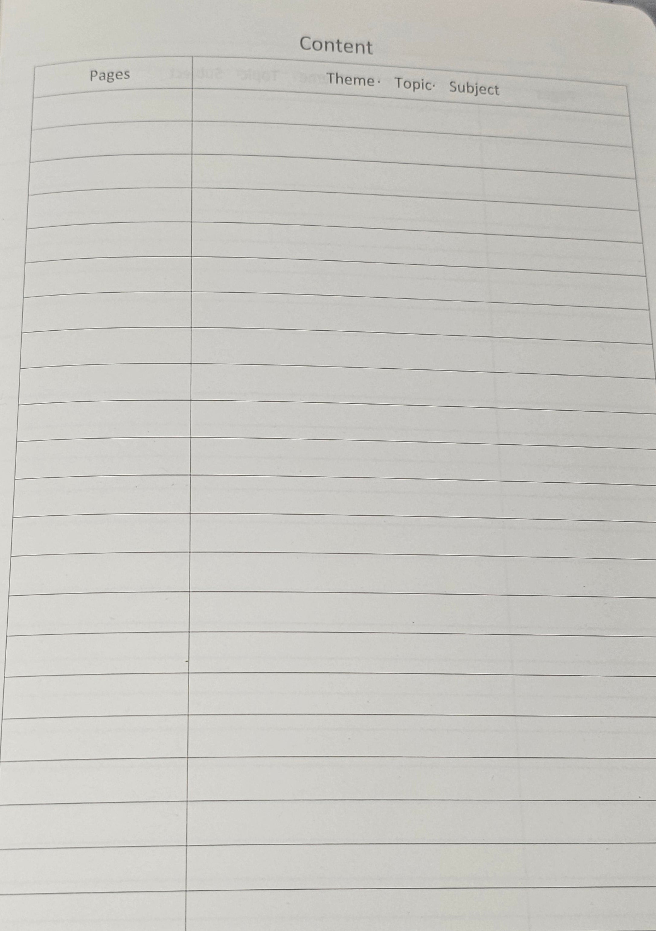 Dragon Faerie Journal