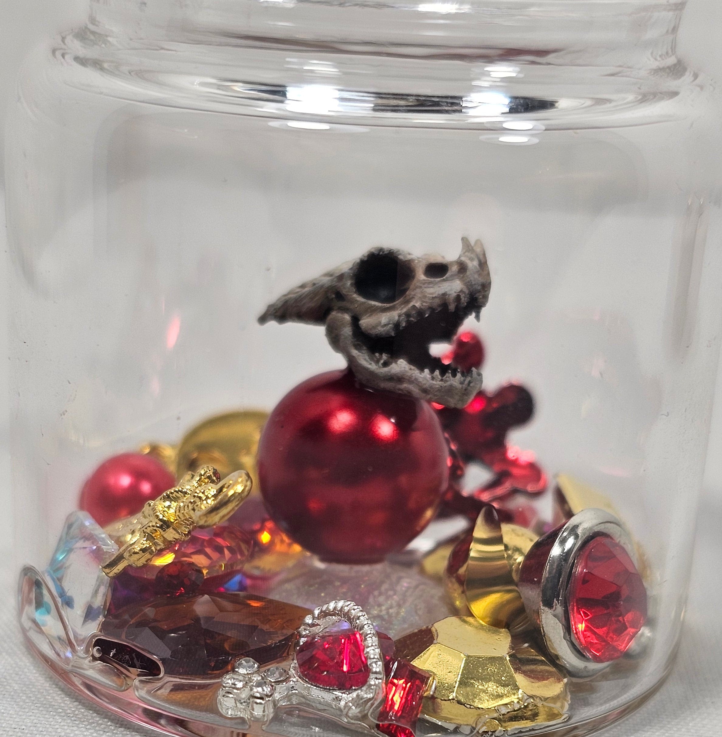 Ruby Treasure Dragon Skull Terrarium