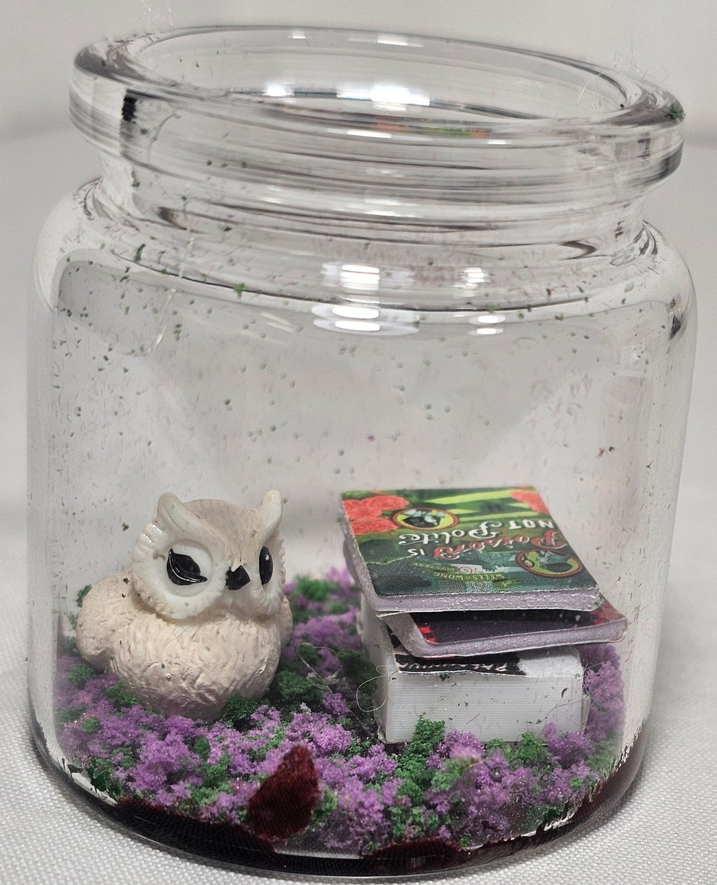 Twilight and King Book Terrariums