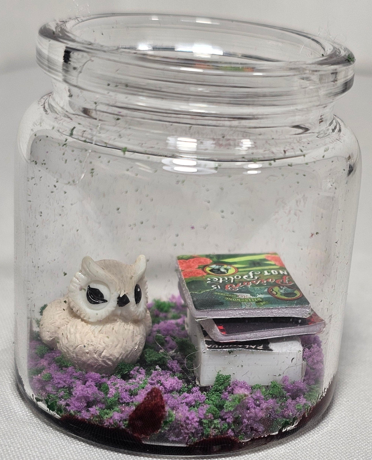 Twilight and King Book Terrariums