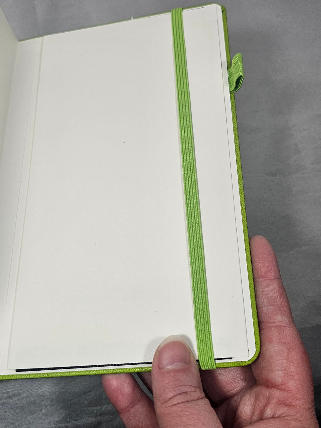 Dragon Faerie Journal