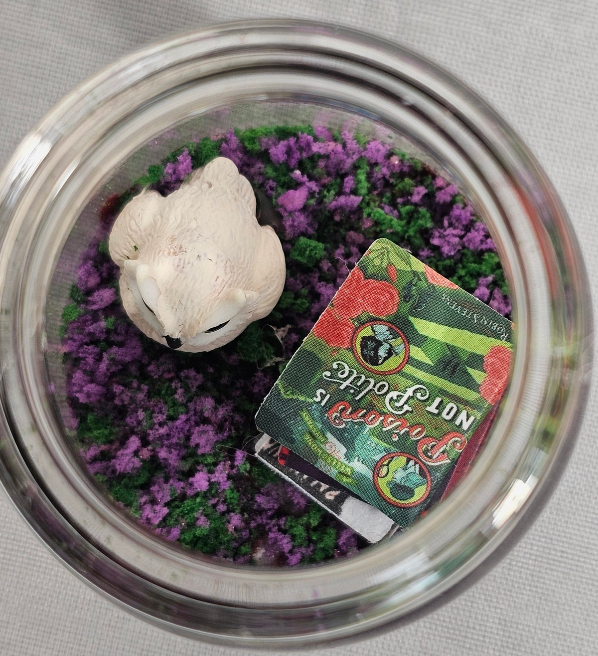 Twilight and King Book Terrariums