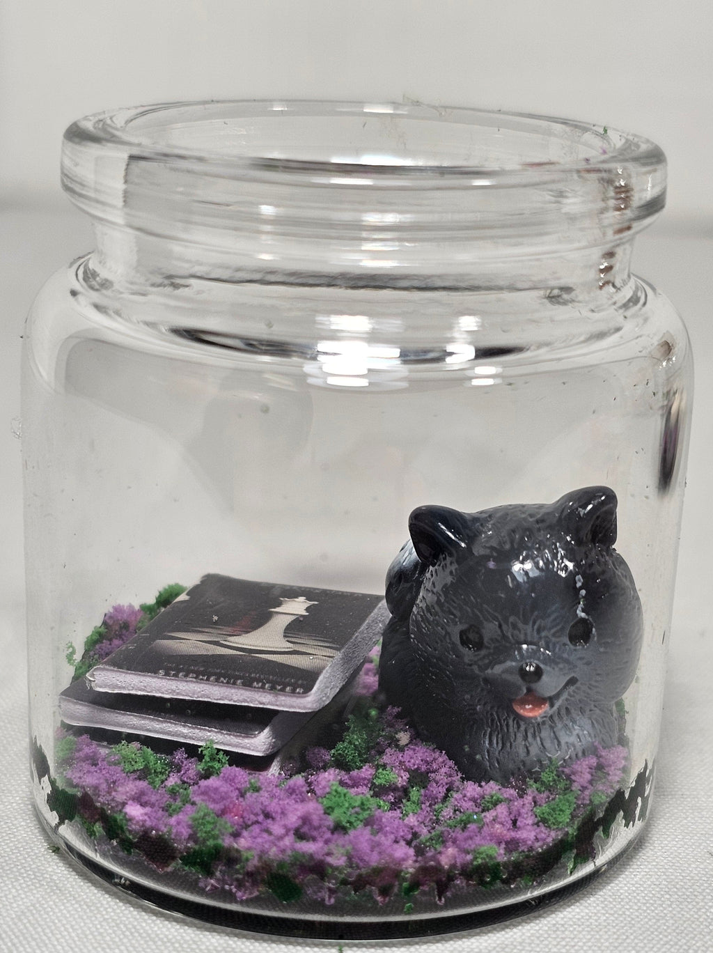 Twilight and King Book Terrariums