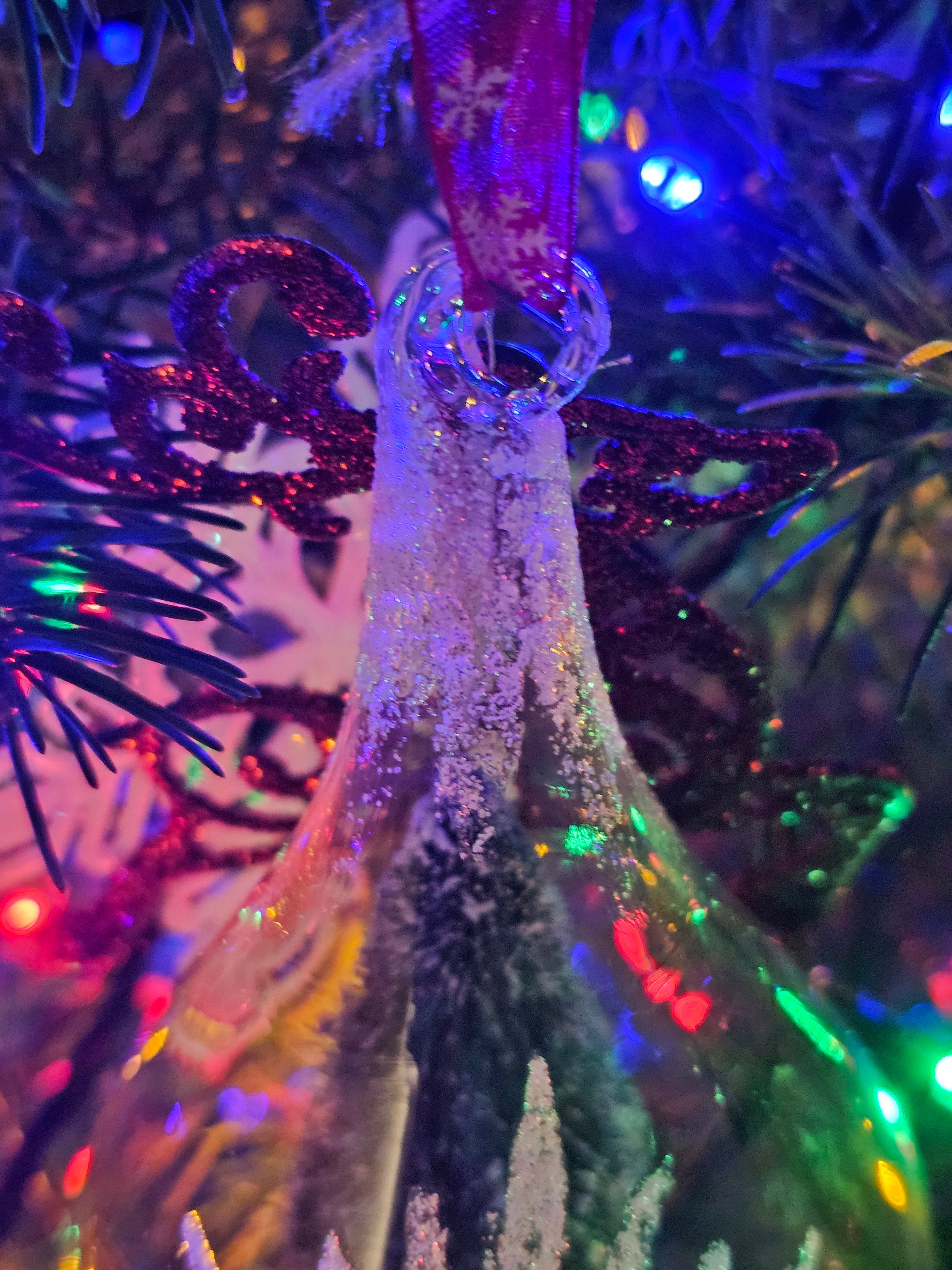 Nuts about you Ornament